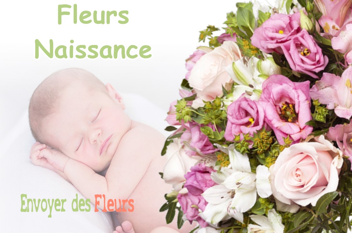 lIVRAISON FLEURS NAISSANCE à VILLE-DEVANT-BELRAIN